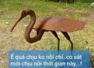 Vỡ nợ, cắt lỗ, nhà vì Covid-19: Cảnh báo chiêu trò mới!