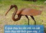 Vỡ nợ, cắt lỗ, nhà vì Covid-19: Cảnh báo chiêu trò mới!