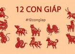 Tử vi tài lộc tháng 6 âm lịch của 12 con giáp: Tỵ thu về khoản lợi lớn, Ngọ vật lộn với thử thách và bùng nổ vào phút chót; Dậu cẩn trọng vì thói hưởng thụ quá đà