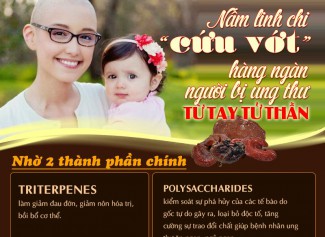 Tác dụng nấm linh chi đối với bệnh ung thư