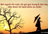 NỬA ĐỜI VỀ SAU