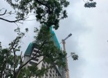 Hà Nội: Sự thật đáng lưu ý về dự án Trinity Tower 145 Hồ Mễ Trì